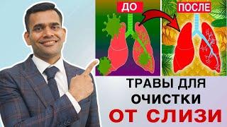 5 Продуктов Для Здоровья Легких, Очищения От Слизи И Уничтожения Вирусов