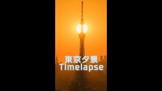 東京夕景 timelapse