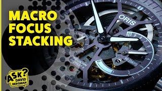 Macro Focus Stacking | Ask David Bergman