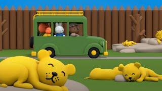 Lions at the Zoo | Miffy | Cartoons for kids