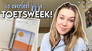 10 TIPS OM DE TOETSWEEK TE OVERLEVEN!! *plannen, motivatie, studeren, ALLES over de TENTAMENS!*