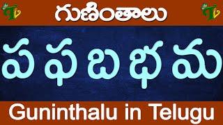 ప ఫ బ భ మ గుణింతాలు | Pa Pha Ba Bha Ma guninthalu | How to write Telugu guninthalu @TeluguVanam ​