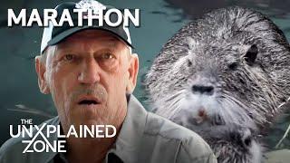 2 UNBELIEVABLE SWAMP DEVILS *Marathon* | Swamp Mysteries | The UnXplained Zone