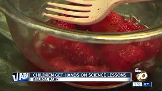 Children get hands on science lessons