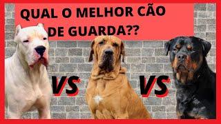 FILA BRASILEIRO VS ROTTWEILER VS DOGO ARGENTINO Qual o melhor cão de guarda??