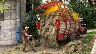 Long Hot Summer Days on a Dairy Farm