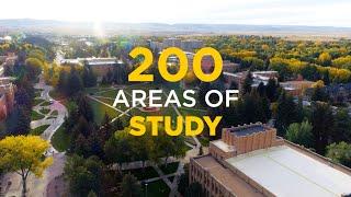 Academics: Numbers Matter || University of Wyoming
