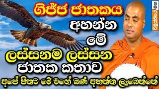 අහන්න මේ ලස්සන ජාතක කතාව - ගිජ්ජ ජාතකය | koralayagama saranathissa thero bana | Jathaka katha |