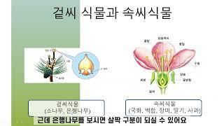 2022 Focus on Science 제3강 '식물분류 방법과 기준에 대해 알아보자!'