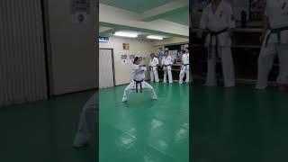 #kyokushin #karate - #Seienchin  #kata training in Japan