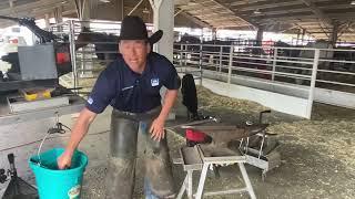 Funny Farrier Trick with Lee Olsen CJF