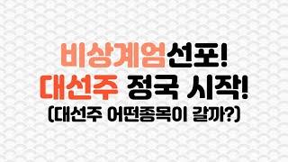 윤석열대통령 비상계엄 선포! 대선주 정국 시작됐다(대선주 어떤 종목, 어떤 인물이 상승할까?) #대선주 #급등주 #상한가