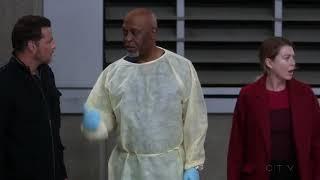 Are you seeing what I’m seeing- grey’s anatomy 14x07