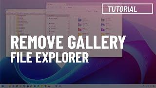 Windows 11: Remove Gallery from File Explorer (check updates)