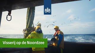 Visserij op de Noordzee | Minister Adema vaart mee met een kotter