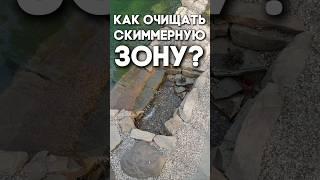 Как очищать скиммерную зону в пруду?