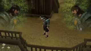 OLD RuneScape Adamant Platebody Glitch