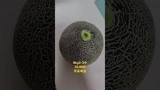 이집저집 다먹어보고 맛있는것만 판매합니다.믿고 주문주세요!구매문의 카톡검색채널다다과일 또는010 -4064-1389 #참외#메론# 노을메론
