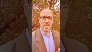 How To Get Rid Of Brain Fog...