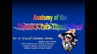 Anatomy of THYROID & PARA-THYROID GLANDS || Dr. Yusuf ||