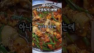 서산 당일치기 여행 코스