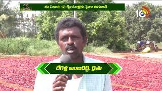 లావు విరపతో దీటైన ఆదాయం | Paprika Chilli Cultivation And Profits | Matti Manishi | 10TV News