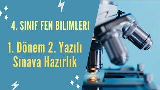 4. Sınıf Fen Bilimleri 1. Dönem 2.Yazılı Sınav Hazırlık Soru Çözümleri