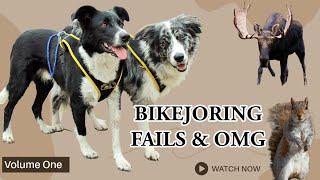 Bikejoring FAILS & OMG Vol One