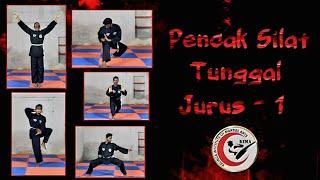 Tutorial Tunggal Jurus 1 || Tunggal || Pencak Silat || Kalinga Institute of Martial Arts