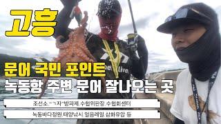 [낚시부부] 녹동항 워킹 문어 낚시 포인트. 콕 찝어 드립니다. octopus fishing