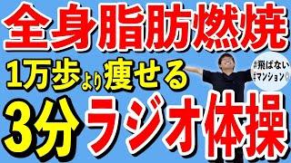 内臓脂肪・皮下脂肪を落としたい人は毎日やって！ラジオ体操でみるみる脂肪燃焼！【最高に楽しい有酸素運動で必ず痩せる！】#ラジオ体操