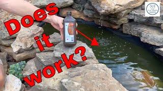 Does Hydrogen Peroxide Remove Green Algae from a Pond?