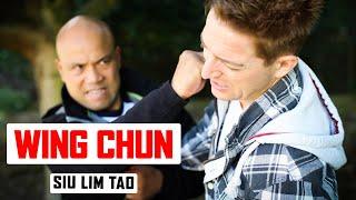 Wing Chun Sil Lim Tao 