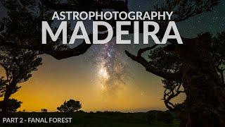 Photographing the Night Sky in Madeira (Part 2 - Fanal Forest)