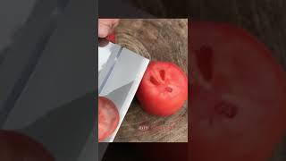 Tomato Surgeon  Reverse Video Magic!  Now that's satisfying  #oddlens #reversevideomagic