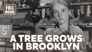 ️ Drama Movie: A Tree Grows in Brooklyn (1945) English Full Movie | Watch Boldly!