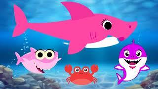 Baby Shark doo doo doo | Nursery Rhymes And Kids Songs | Jozo Kids |