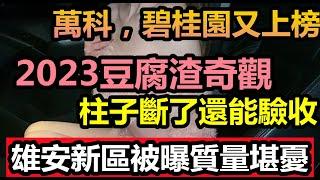 雄安萬億工程安置房居然到處是爛的，地基塌方的房子還能交付，世界之大無奇不有|大陸萬億地產哪家質量最牛，碧桂園質量比萬科好？|手撕大楼，豆腐渣房子质量令人佩服|#房子质量#2023豆腐渣#無修飾