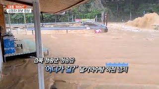 [영상구성] 태풍 '하이선' 시청자 제보 영상으로 본 현장 / 연합뉴스TV (YonhapnewsTV)