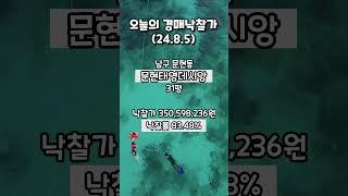 [오늘의 경매낙찰가] 24.8.5