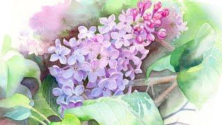 LILAC WATERCOLOR  Advanced Tutorial Including Leaves & Background Painting