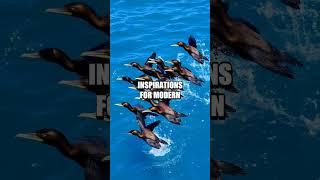 The Spectacular Dive of the Cormorant: Nature-Inspired Underwater Tech