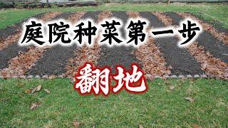 春天种菜第一步：翻地