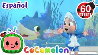 Bailemos como Bebé tiburón | Canciones Infantiles| Juega y aprende | Moonbug Español | Cocomelon