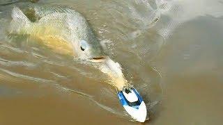 How To Fishing By Using RC Boat In Cambodia