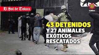 RESCATAN 27 ANIMALES EN PELIGRO DE EXTINCIÓN #estadodemexico #ocoyoacac #noticias