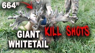 KILL SHOT MONTAGE / Giant Whitetail Bucks / WARNING: GRAPHIC