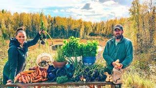 Remote Cabin Dock Work + Our 1st Alaskan Garden Harvest!