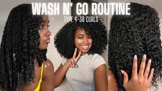 My Wash N' Go Routine 2024! | Type 4-3B Natural Curly Hair