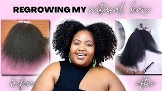 Growing Long + Healthy Type 4 "Natural Hair" | Fall + Winter Moisturizing Natural Hair Products